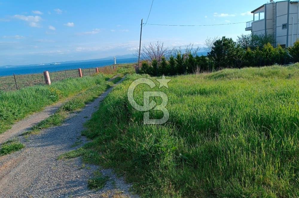 Şarköy'de xenize sıfır, villa imarlı arsa