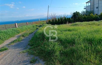 Şarköy'de xenize sıfır, villa imarlı arsa