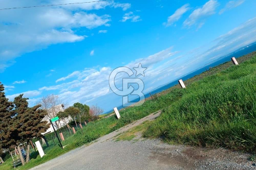 Şarköy'de xenize sıfır, villa imarlı arsa