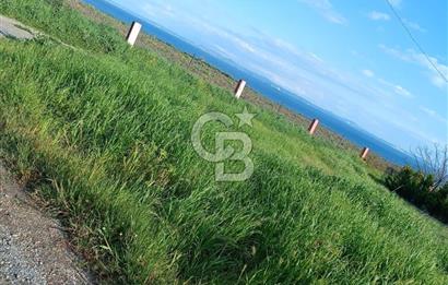 Şarköy'de xenize sıfır, villa imarlı arsa