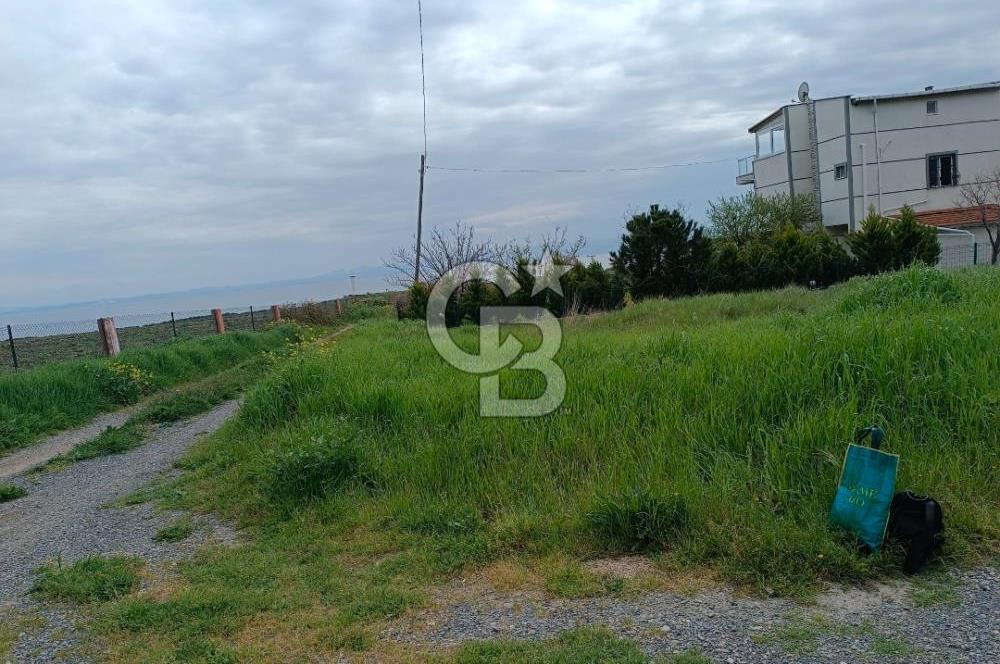 Şarköy'de xenize sıfır, villa imarlı arsa