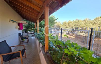 Ayvalık Altınova Kazanda Full Deniz Manzaralı 2+1 Müstakil Villa