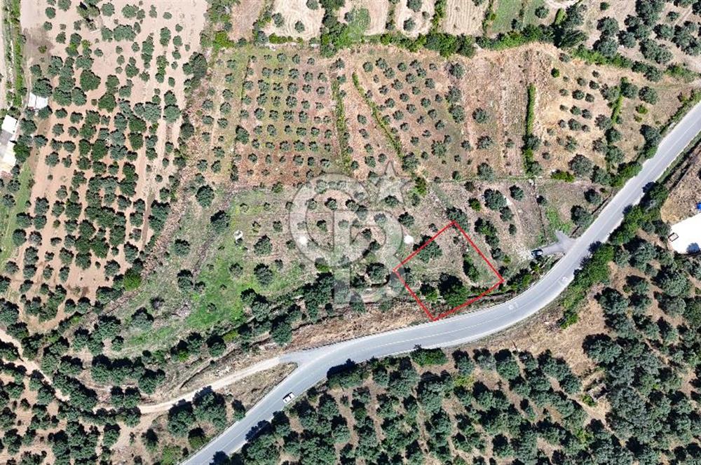 KARACASU YENİCE MAHALLESİNDE 700 m2 SATILIK ARSA