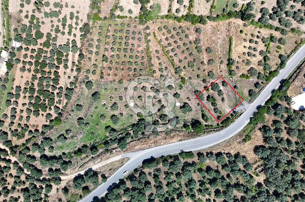 KARACASU YENİCE MAHALLESİNDE 6.770 m2 SATILIK ARSA