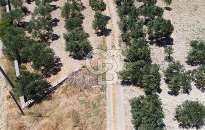 ÇANAKKALE BOZCAADA AMERİKAN ÇEŞME ASFALT CEPHELİ SATILIK ARAZİ