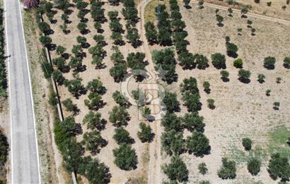 ÇANAKKALE BOZCAADA AMERİKAN ÇEŞME ASFALT CEPHELİ SATILIK ARAZİ