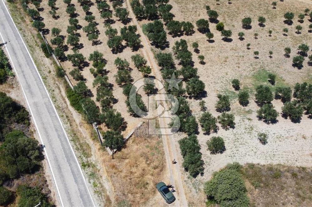 ÇANAKKALE BOZCAADA AMERİKAN ÇEŞME ASFALT CEPHELİ SATILIK ARAZİ