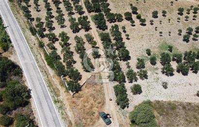 ÇANAKKALE BOZCAADA AMERİKAN ÇEŞME ASFALT CEPHELİ SATILIK ARAZİ