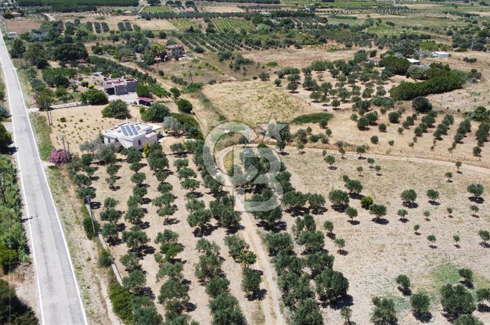ÇANAKKALE BOZCAADA AMERİKAN ÇEŞME ASFALT CEPHELİ SATILIK ARAZİ