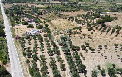 ÇANAKKALE BOZCAADA AMERİKAN ÇEŞME ASFALT CEPHELİ SATILIK ARAZİ
