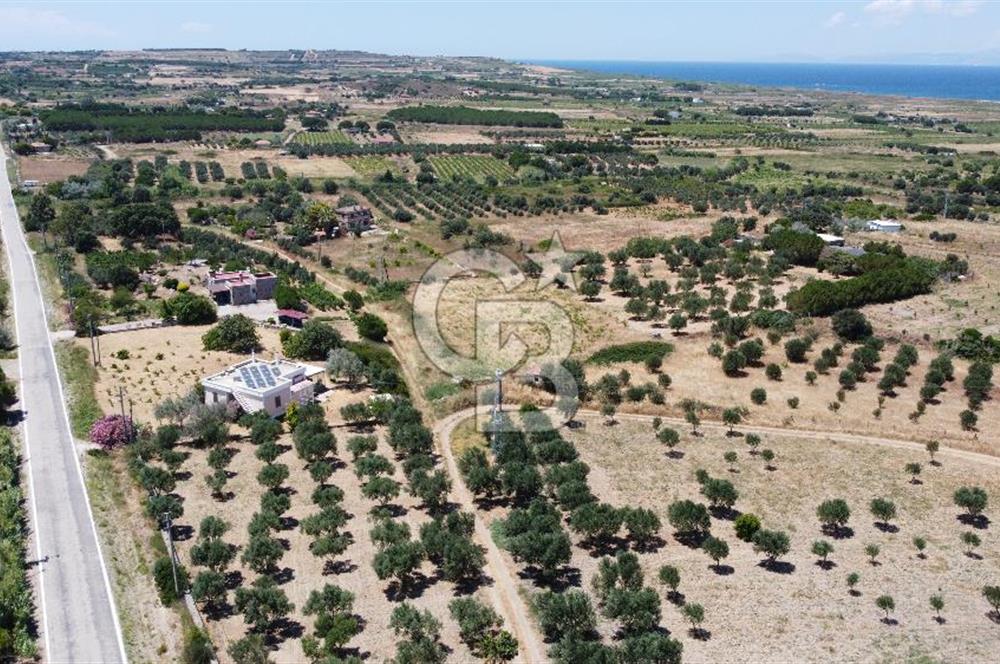 ÇANAKKALE BOZCAADA AMERİKAN ÇEŞME ASFALT CEPHELİ SATILIK ARAZİ