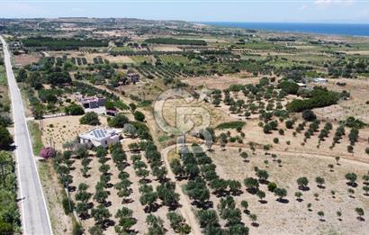 ÇANAKKALE BOZCAADA AMERİKAN ÇEŞME ASFALT CEPHELİ SATILIK ARAZİ