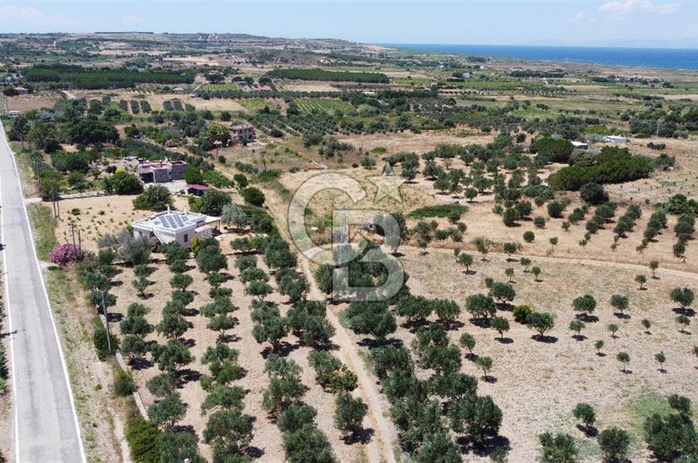 ÇANAKKALE BOZCAADA AMERİKAN ÇEŞME ASFALT CEPHELİ SATILIK ARAZİ