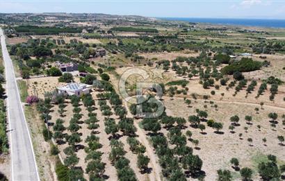 ÇANAKKALE BOZCAADA AMERİKAN ÇEŞME ASFALT CEPHELİ SATILIK ARAZİ