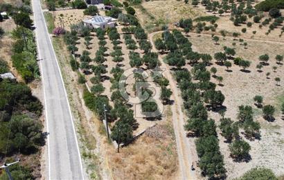 ÇANAKKALE BOZCAADA AMERİKAN ÇEŞME ASFALT CEPHELİ SATILIK ARAZİ