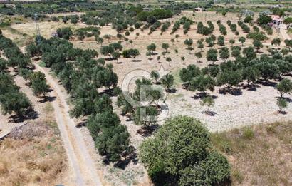 ÇANAKKALE BOZCAADA AMERİKAN ÇEŞME ASFALT CEPHELİ SATILIK ARAZİ