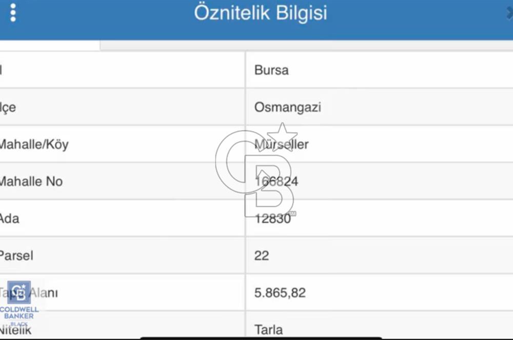 CB BLACK'DEN MÜRSELLER'DE YATIRIMLIK ARAZİ