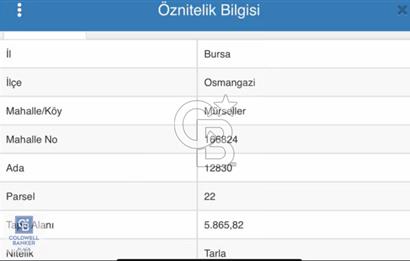 CB BLACK'DEN MÜRSELLER'DE YATIRIMLIK ARAZİ