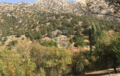 250m² KÖYİÇİ İMARLI YAYLA ZORLAR DA SATILIK ARSA