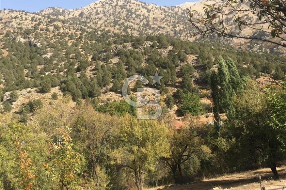 250m² KÖYİÇİ İMARLI YAYLA ZORLAR DA SATILIK ARSA