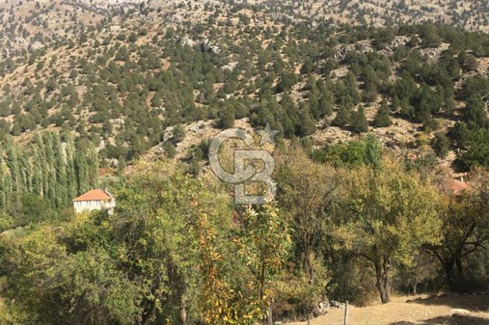250m² KÖYİÇİ İMARLI YAYLA ZORLAR DA SATILIK ARSA