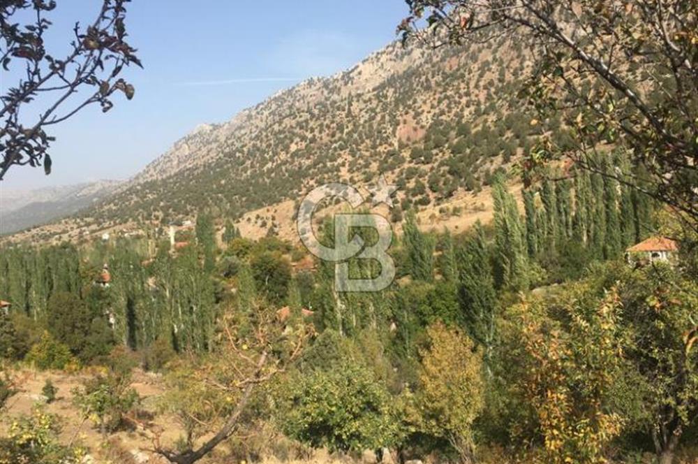 250m² KÖYİÇİ İMARLI YAYLA ZORLAR DA SATILIK ARSA