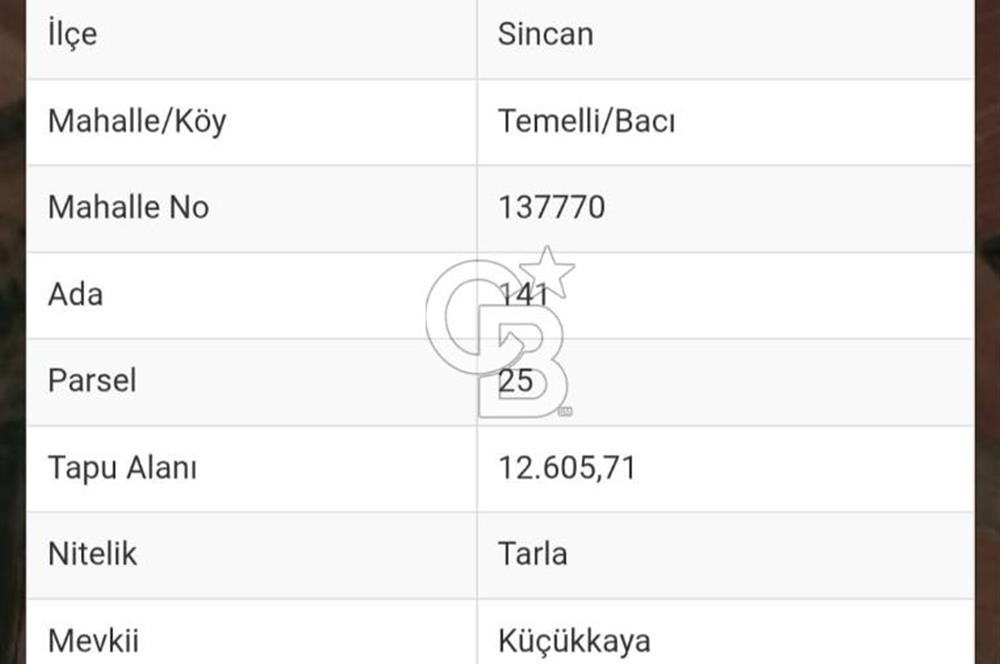 Tek ve Kök Tapu. Sincan Bacı Mahallesinde 12.605 m2 satılık tarla