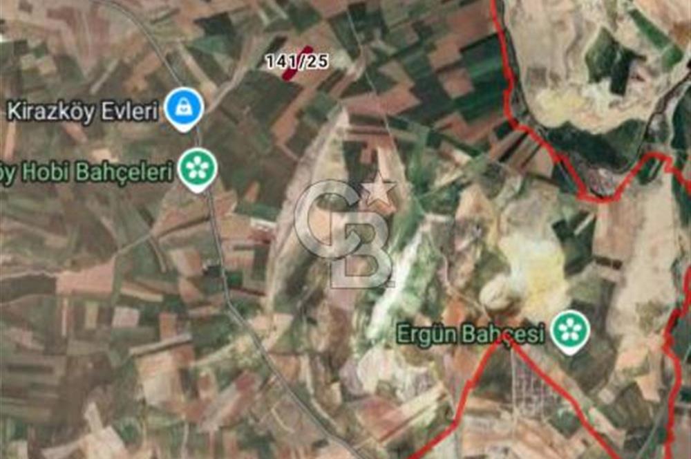 Tek ve Kök Tapu. Sincan Bacı Mahallesinde 12.605 m2 satılık tarla