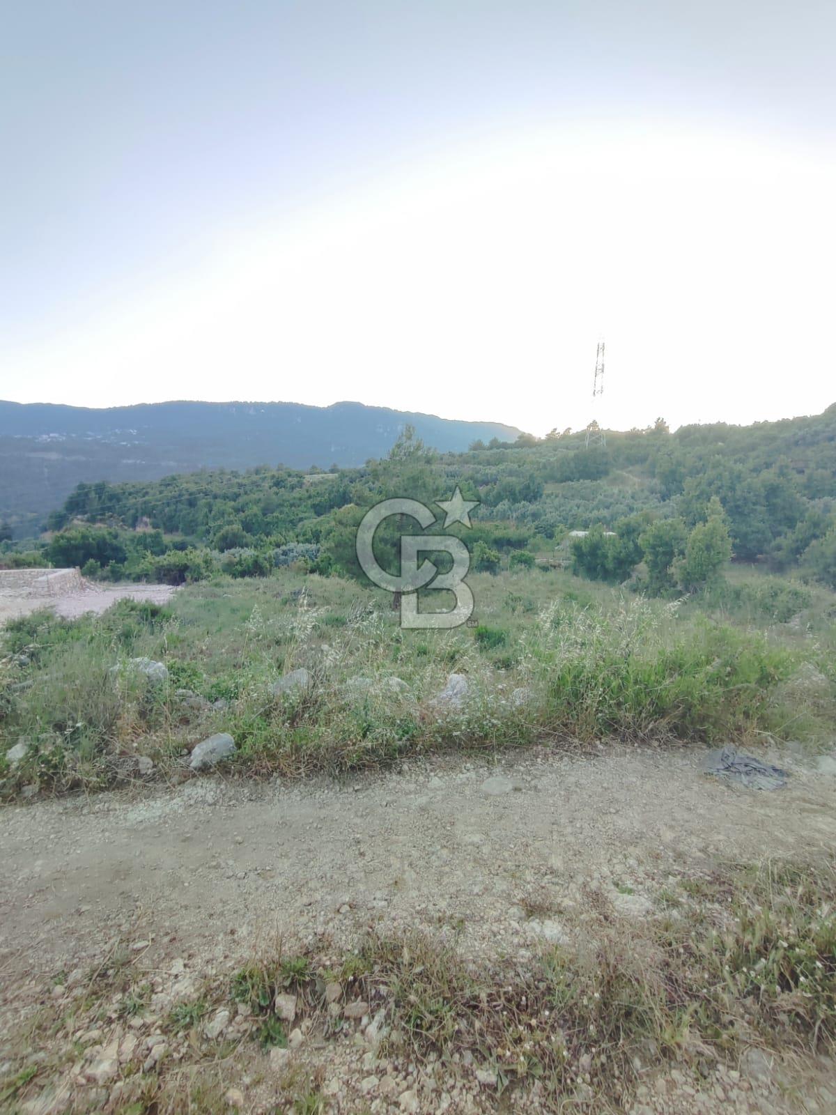 HATAY SAMANDAĞ YAYLICA MAHALLESİ'NDE PRESTİJLİ KONUMDA 974 m² AR