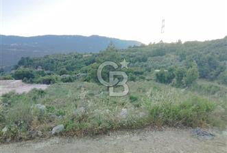 HATAY SAMANDAĞ YAYLICA MAHALLESİ'NDE PRESTİJLİ KONUMDA 974 m² AR - 2 - 360059