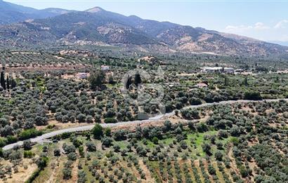 KARACASU YENİCE MAHALLESİNDE 6.770 m2 SATILIK ARSA