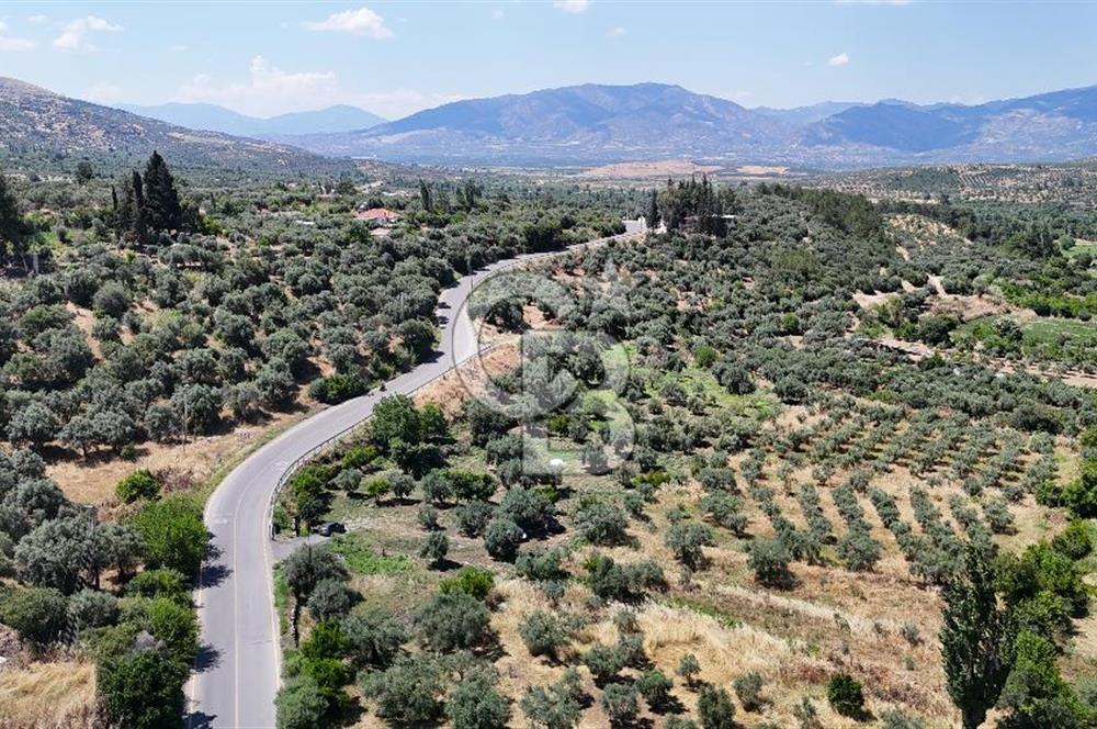 KARACASU YENİCE MAHALLESİNDE 555 m2 SATILIK ARSA