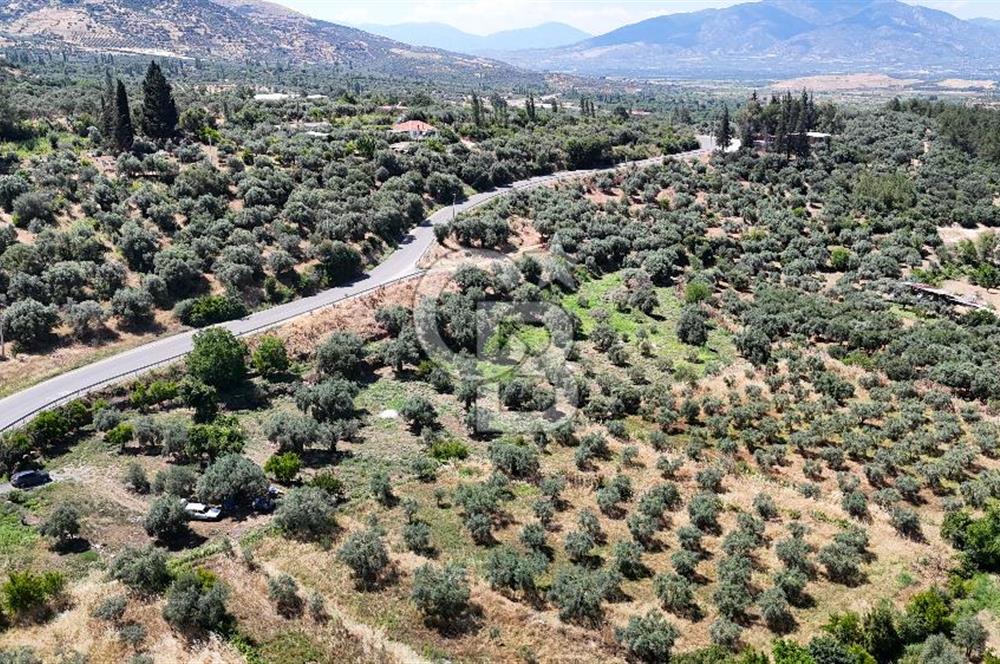 KARACASU YENİCE MAHALLESİNDE 700 m2 SATILIK ARSA