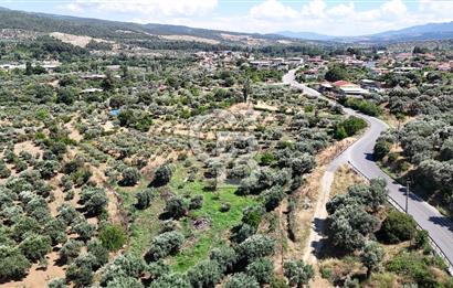 KARACASU YENİCE MAHALLESİNDE 555 m2 SATILIK ARSA