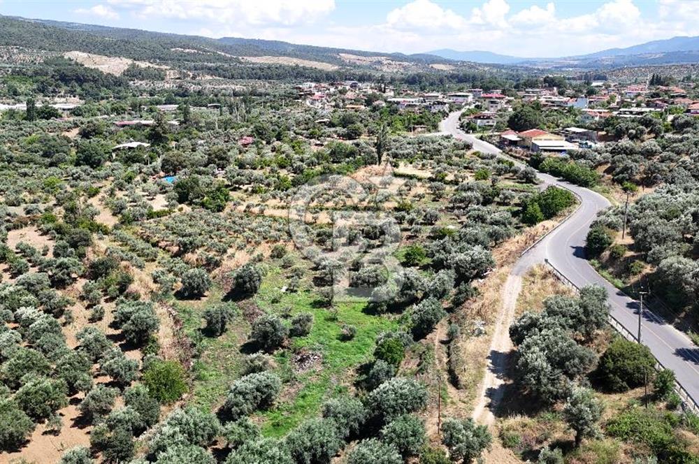 KARACASU YENİCE MAHALLESİNDE 700 m2 SATILIK ARSA