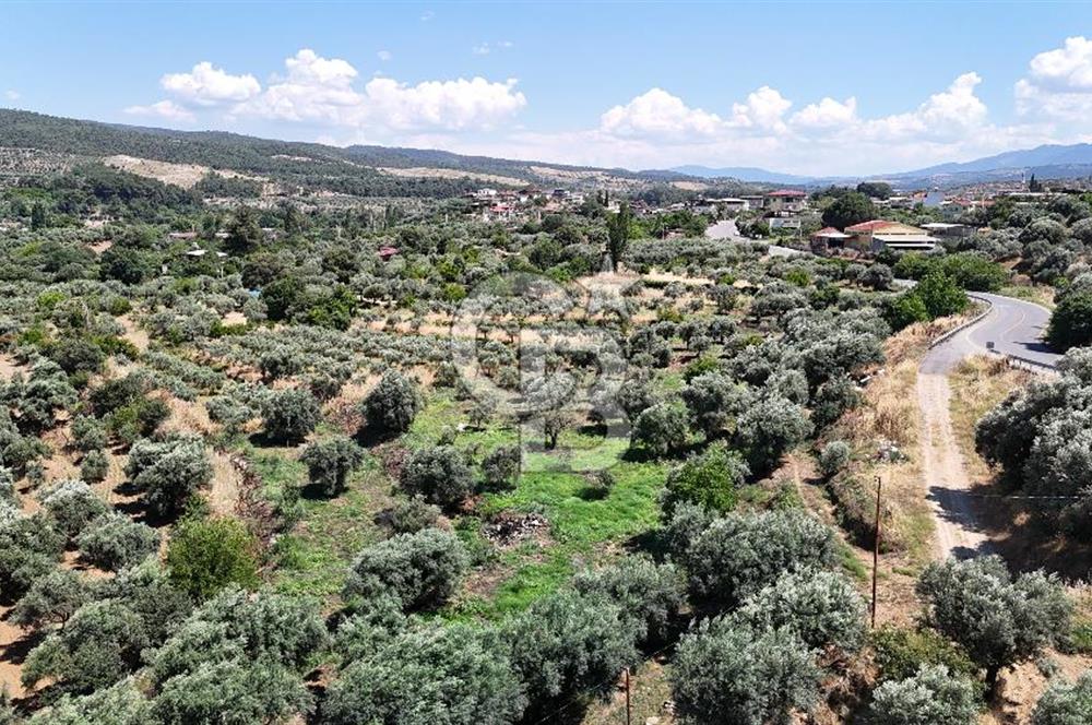 KARACASU YENİCE MAHALLESİNDE 887 m2 SATILIK ARSA