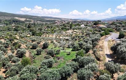 KARACASU YENİCE MAHALLESİNDE 887 m2 SATILIK ARSA