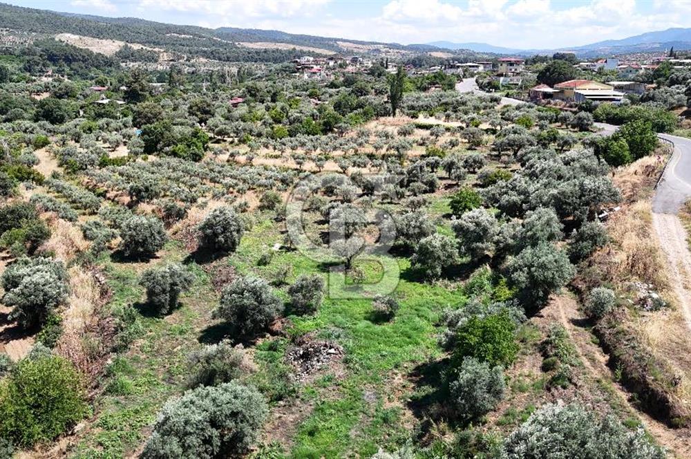 KARACASU YENİCE MAHALLESİNDE 887 m2 SATILIK ARSA