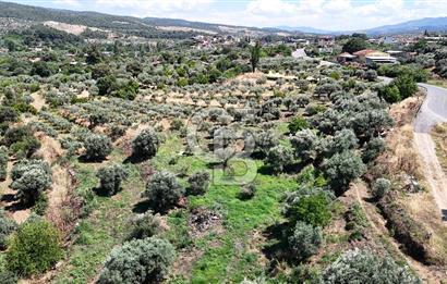 KARACASU YENİCE MAHALLESİNDE 887 m2 SATILIK ARSA