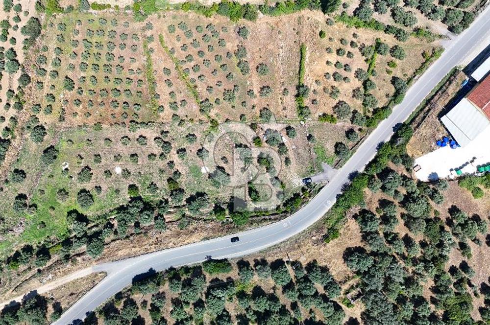 KARACASU YENİCE MAHALLESİNDE 555 m2 SATILIK ARSA