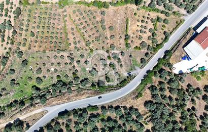 KARACASU YENİCE MAHALLESİNDE 6.770 m2 SATILIK ARSA