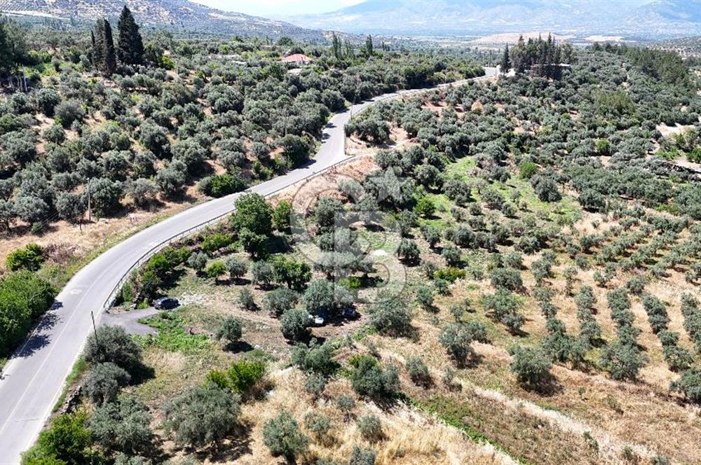 KARACASU YENİCE MAHALLESİNDE 887 m2 SATILIK ARSA