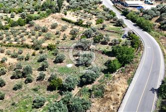 KARACASU YENİCE MAHALLESİNDE 700 m2 SATILIK ARSA - 3 - 360070