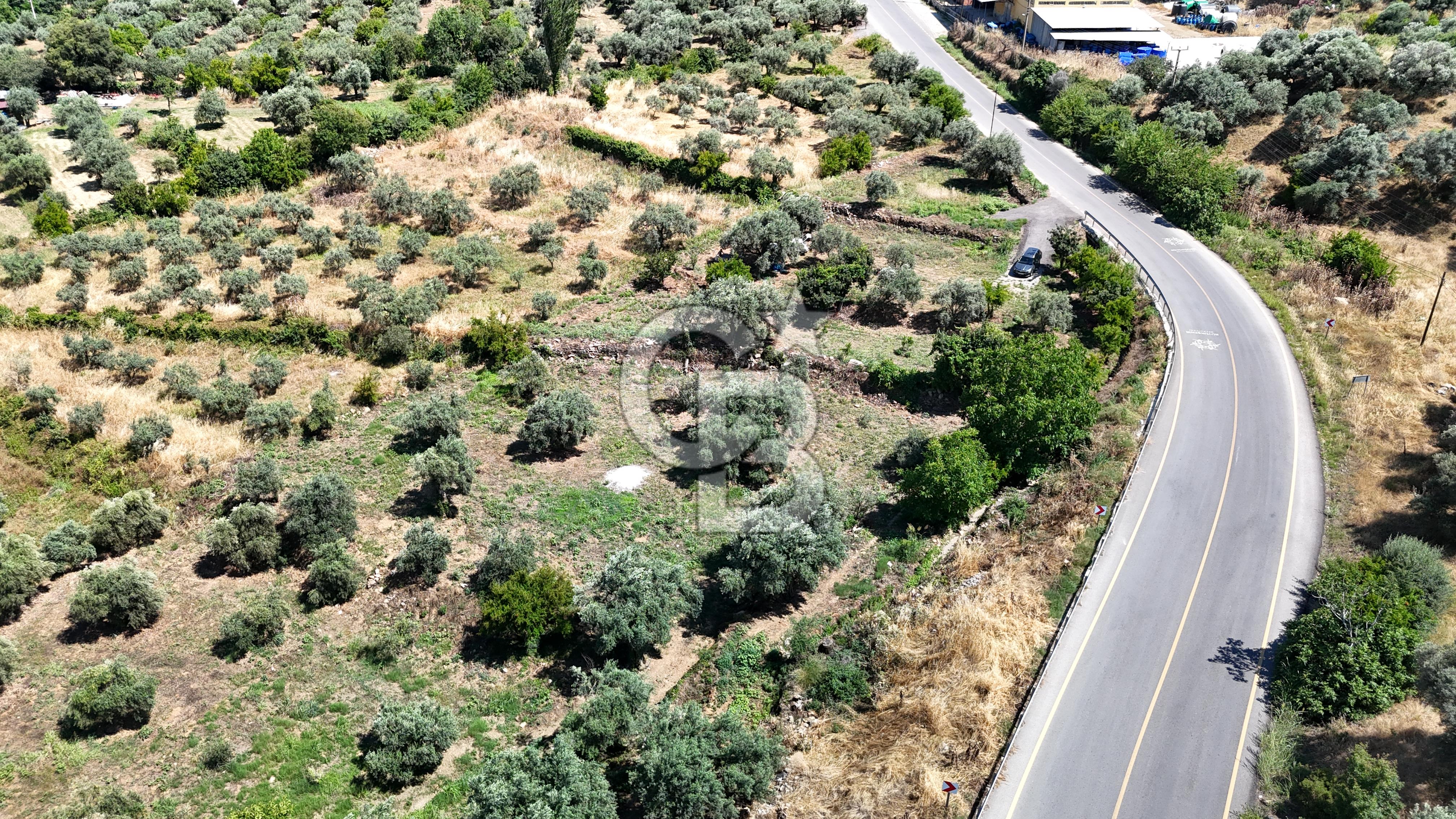 KARACASU YENİCE MAHALLESİNDE 887 m2 SATILIK ARSA