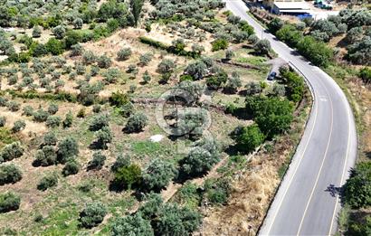 KARACASU YENİCE MAHALLESİNDE 6.770 m2 SATILIK ARSA