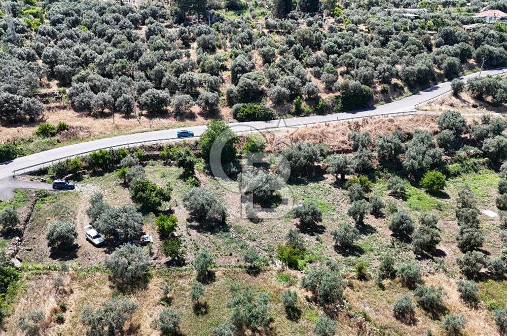 KARACASU YENİCE MAHALLESİNDE 700 m2 SATILIK ARSA