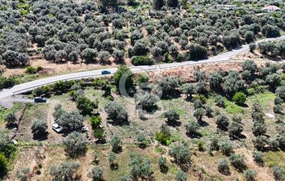 KARACASU YENİCE MAHALLESİNDE 700 m2 SATILIK ARSA