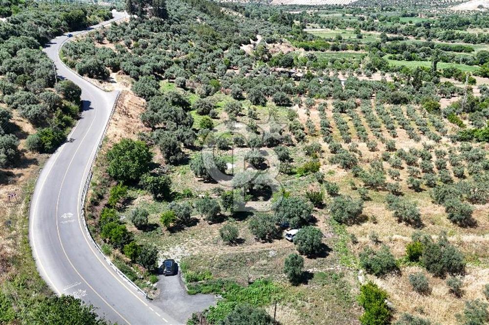 KARACASU YENİCE MAHALLESİNDE 887 m2 SATILIK ARSA