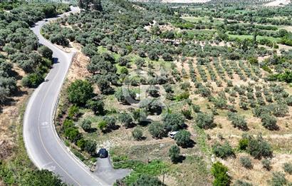 KARACASU YENİCE MAHALLESİNDE 887 m2 SATILIK ARSA