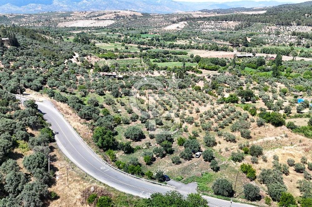 KARACASU YENİCE MAHALLESİNDE 887 m2 SATILIK ARSA